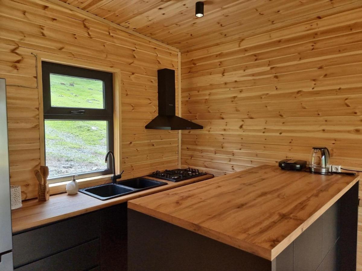 Memory Hut_Kazbegi Apartment Екстериор снимка